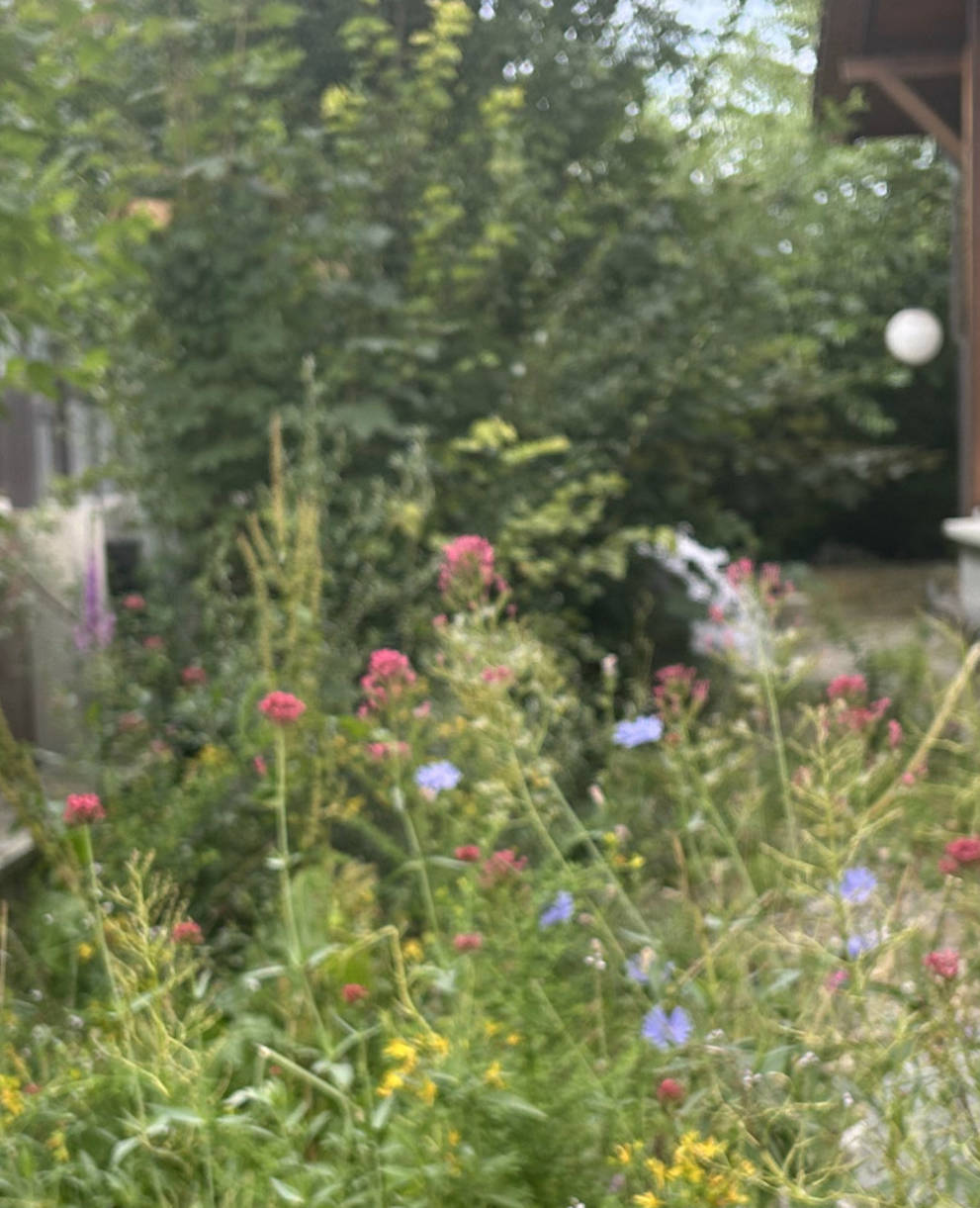 Naturgarten der Pro Natura Thurgau Geschäftsstelle in Weinfelden